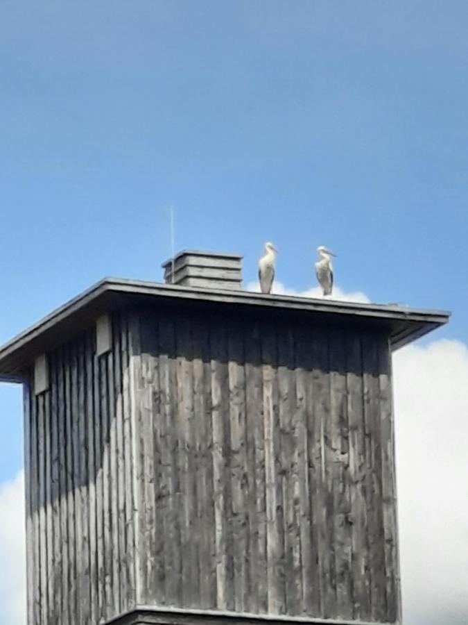 Ferienwohnung Am Schloss Reuterstadt Stavenhagen Exteriér fotografie